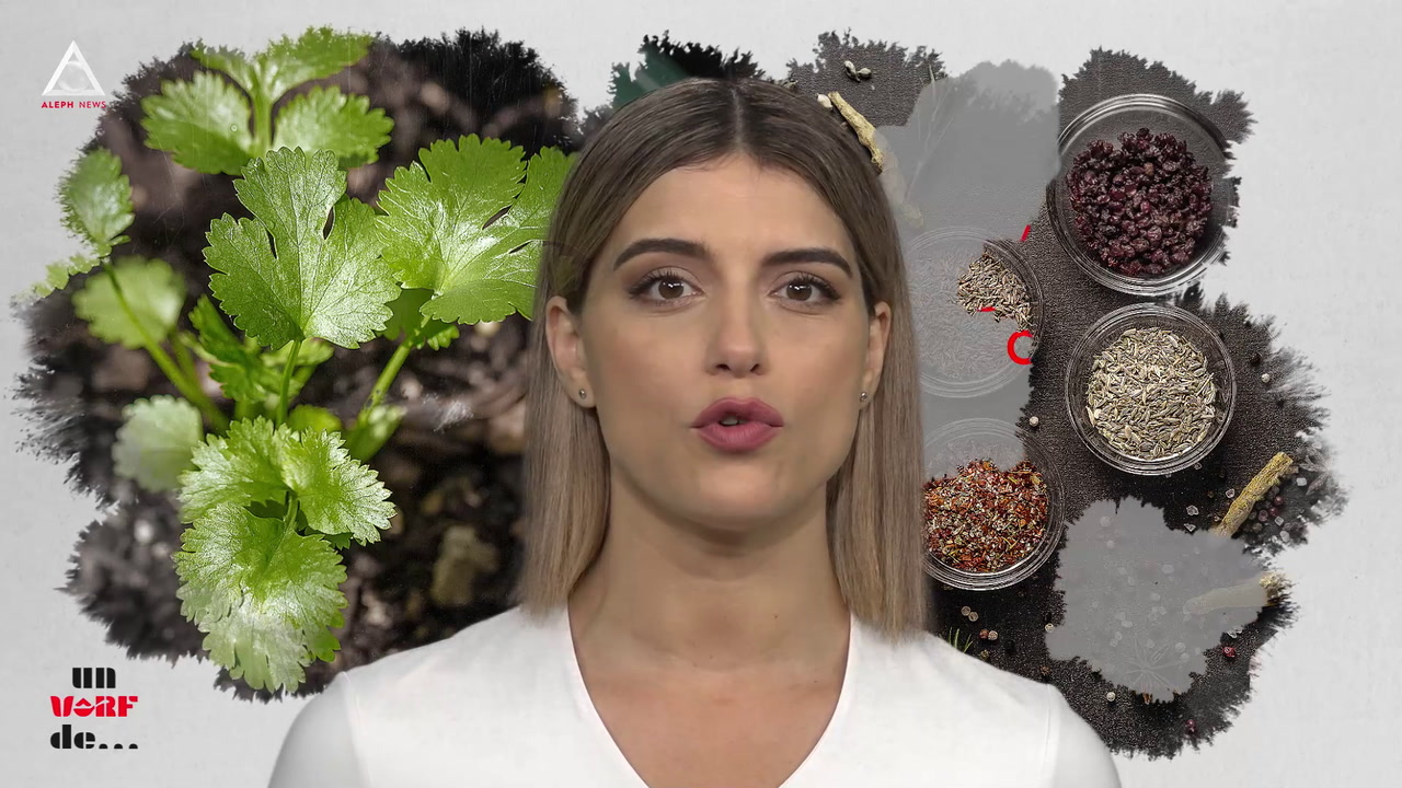 Un vârf de… Coriandrul