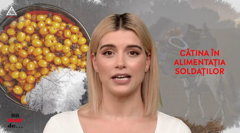 Un vârf de… Cătina