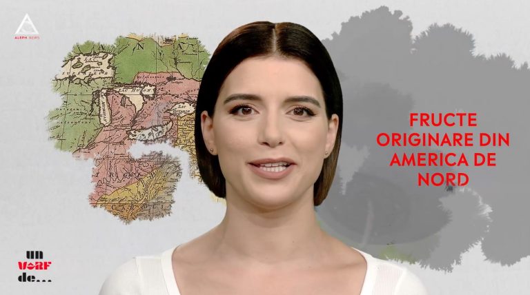 Un vârf de… Afine