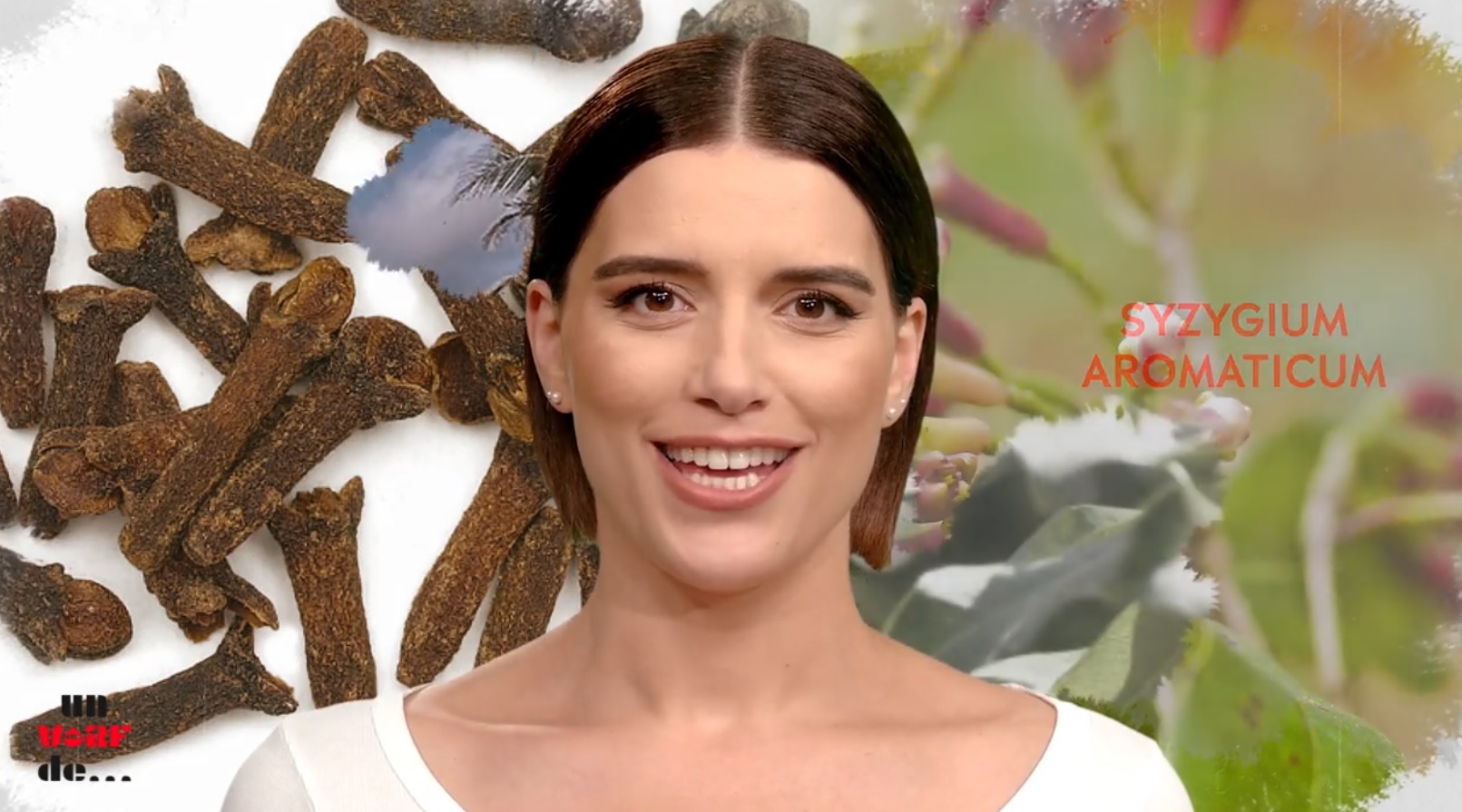 Un vârf de… Cuișoare