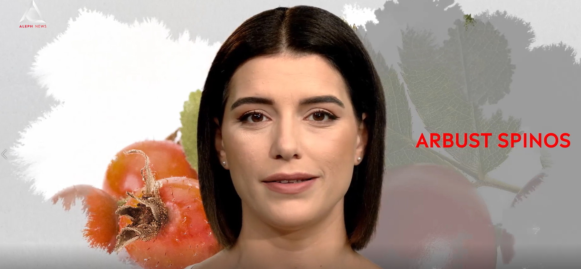 Un vârf de… Măceș