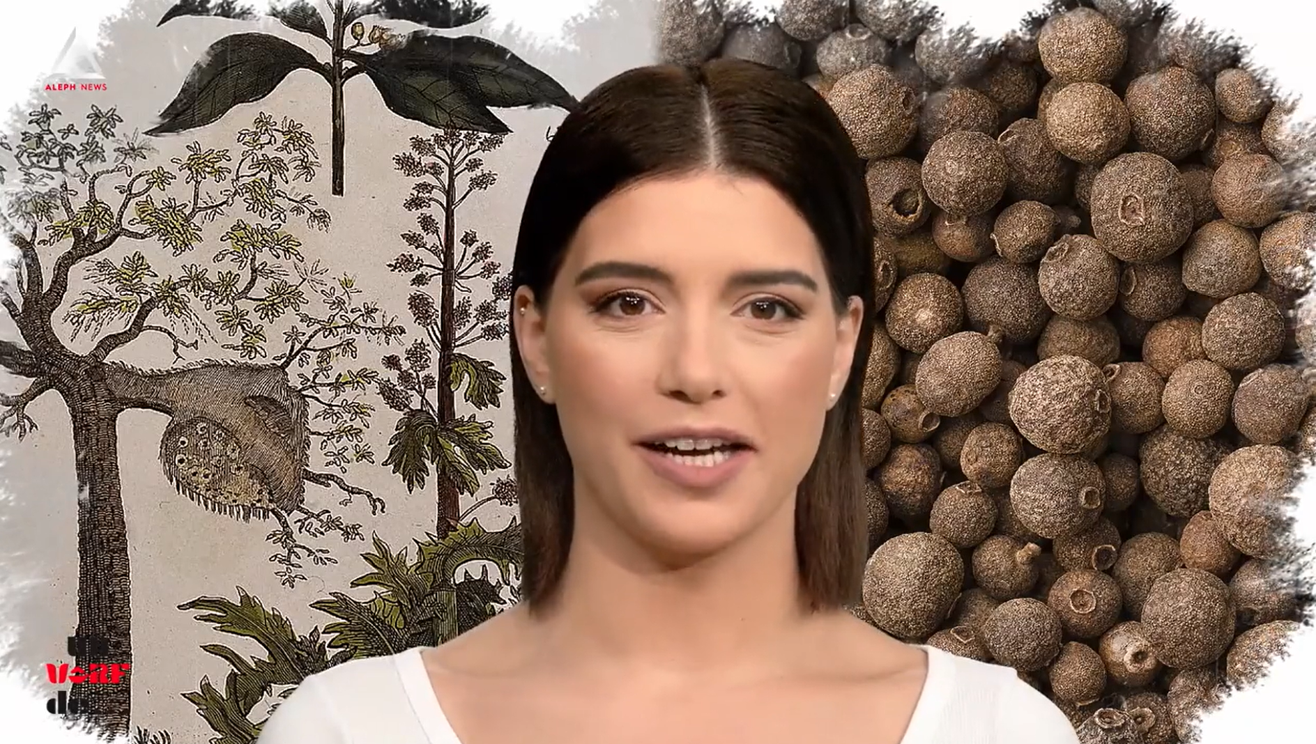 Un vârf de… Ienibahar