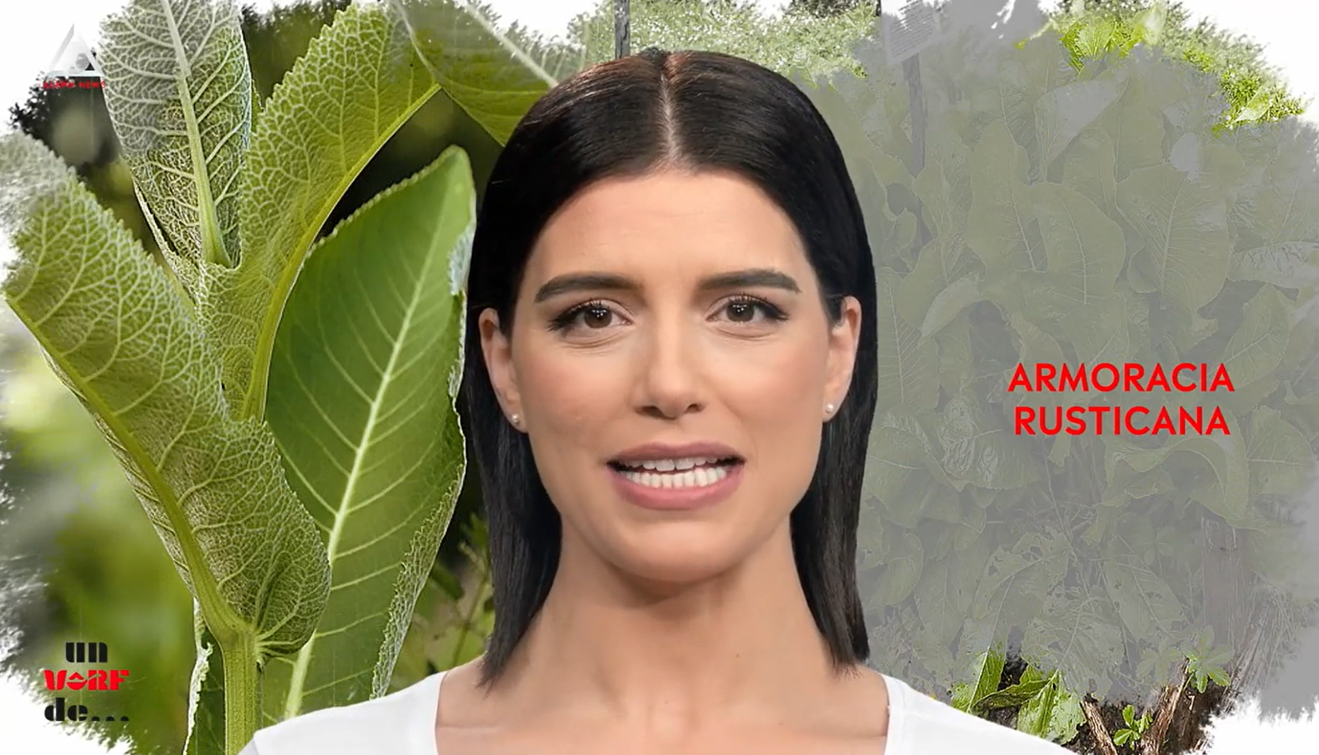 Un vârf de… Hrean