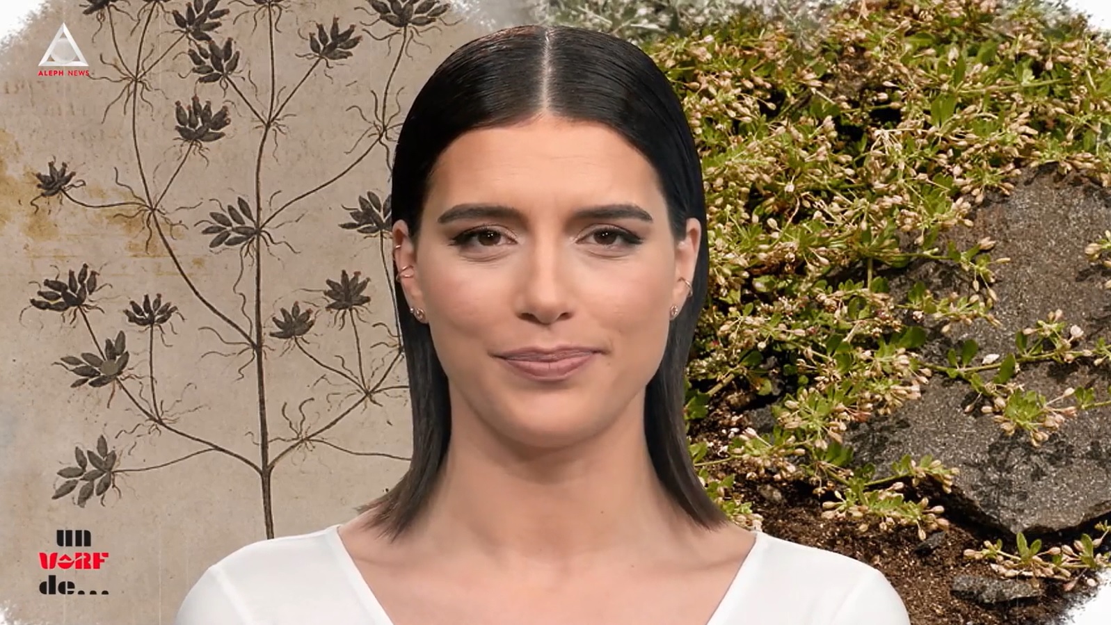 Un vârf de… Chimen