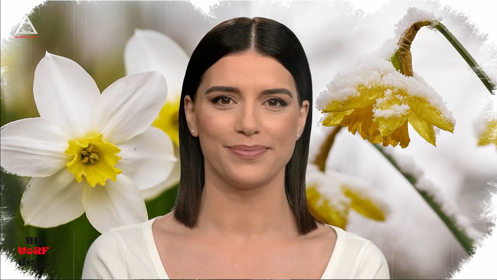 Un vârf de… Narcisă