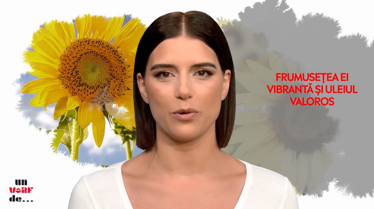 Un vârf de… floarea soarelui