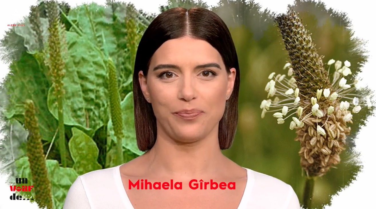 Un vârf de… pătlagină