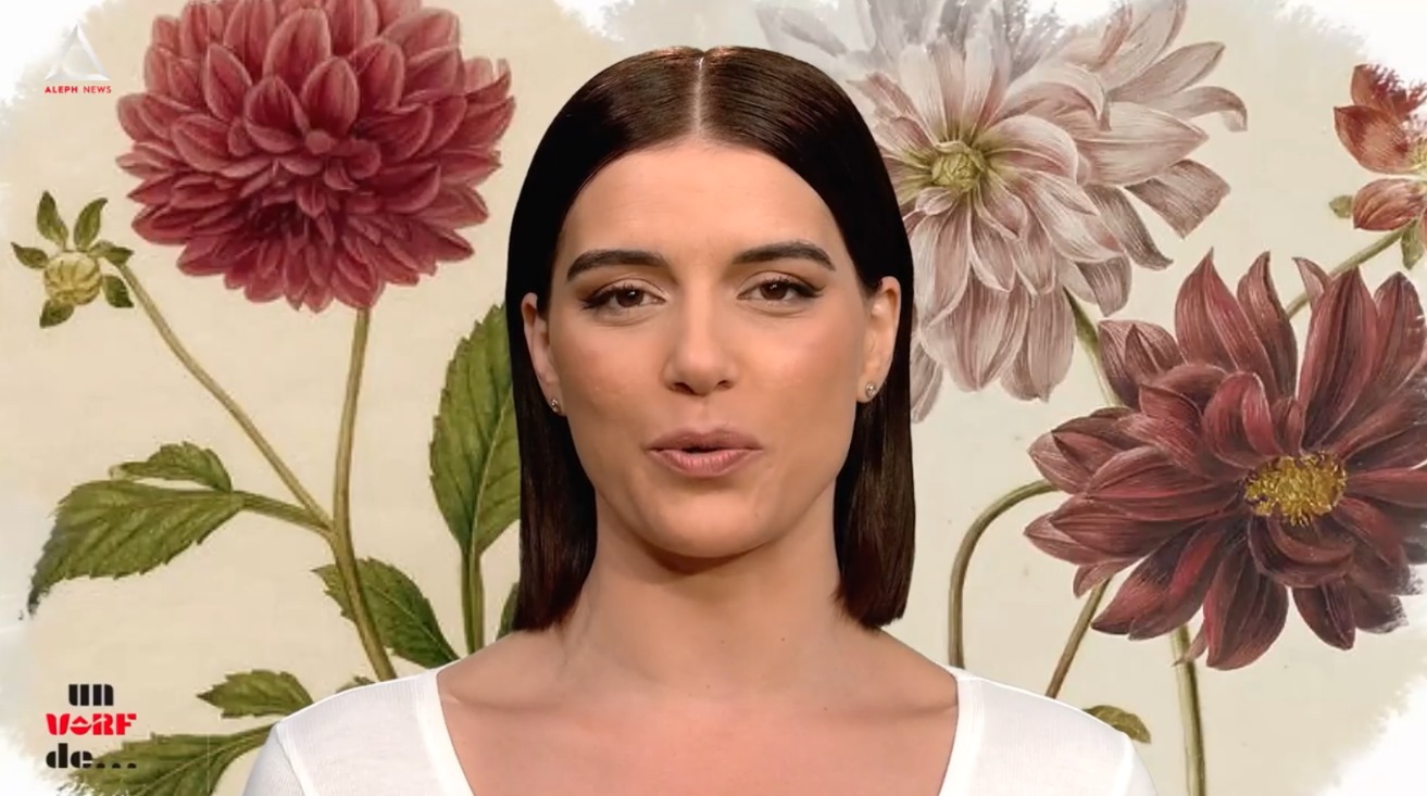 Un vârf de… dalie