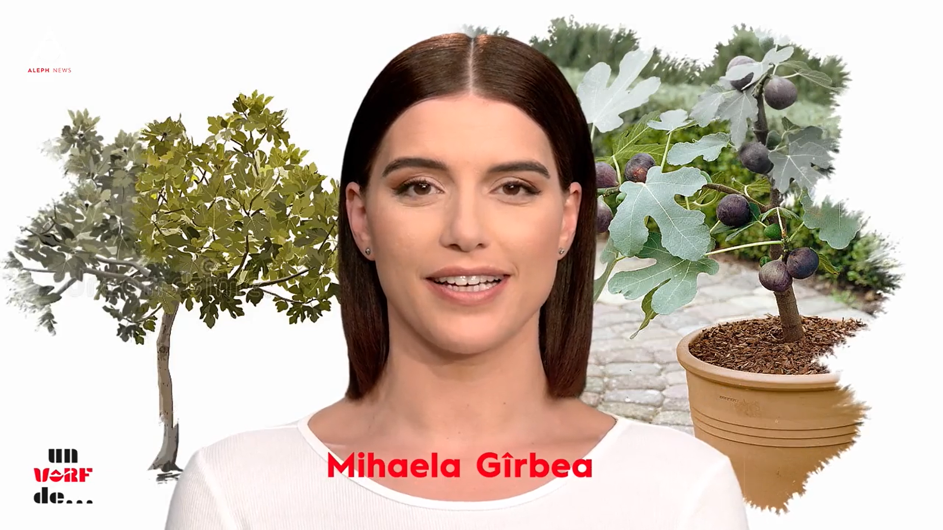 Un vârf de… smochin