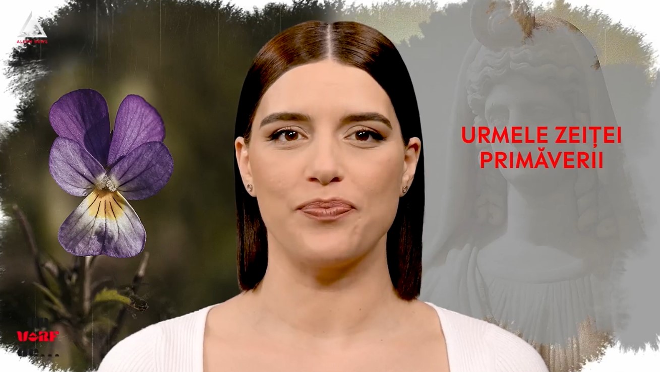 Un vârf de… toporași