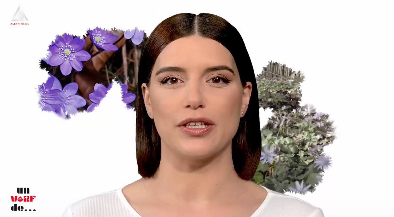 Un vârf de… crucea voinicului