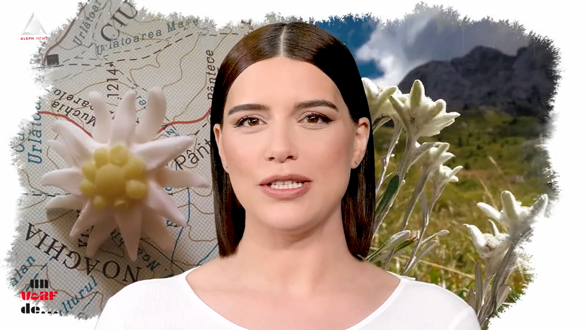 Un vârf de…Floare-de-colț 