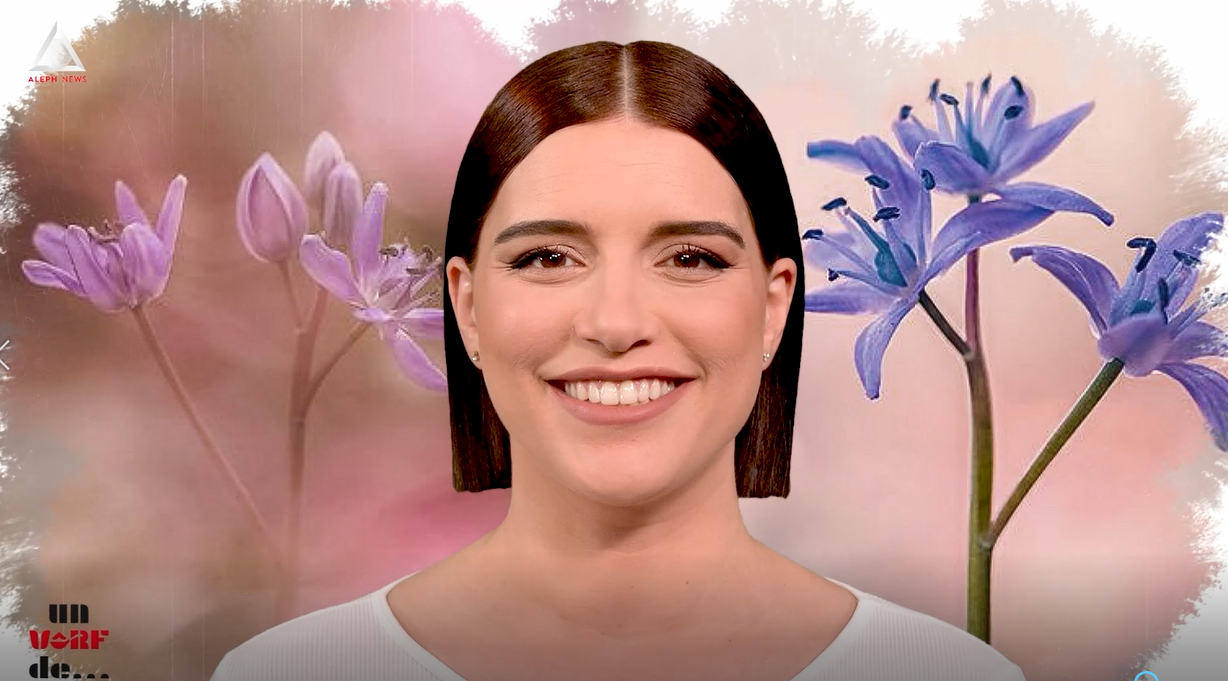 Un vârf de… Viorea