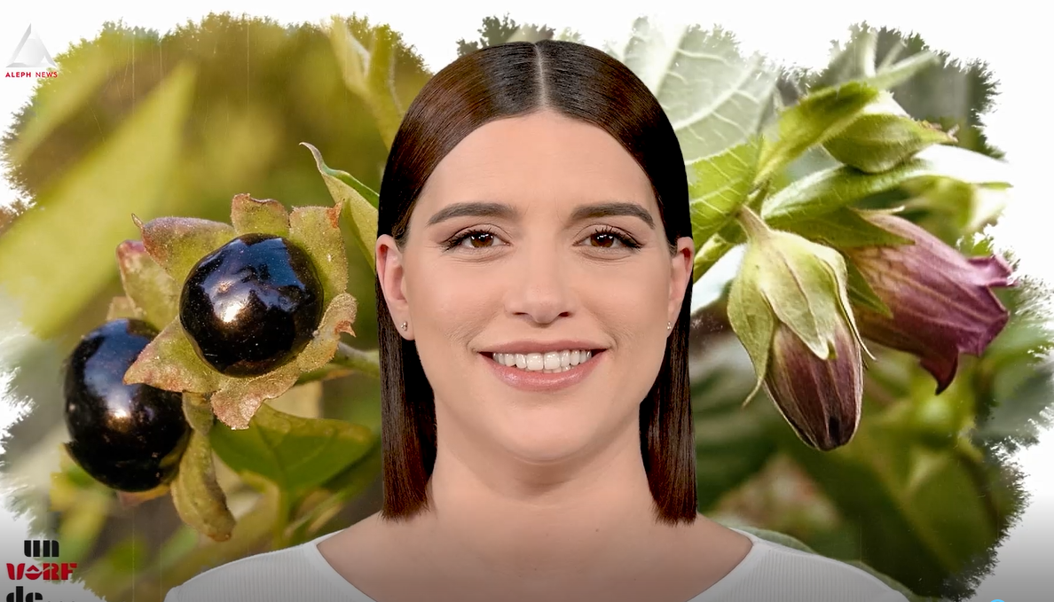 Un vârf de… Mătrăgună