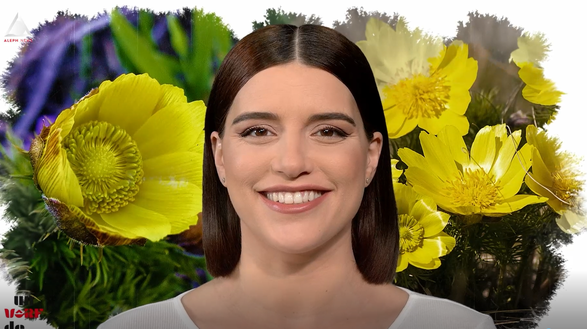 Un vârf de…Rușcuța de Primăvară