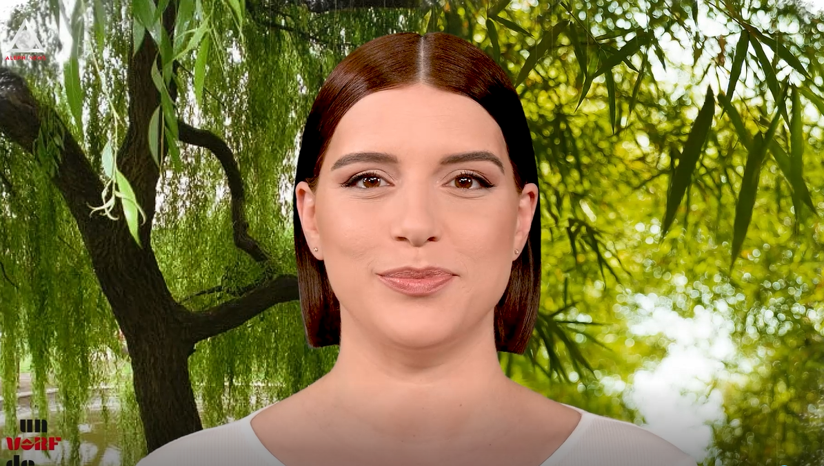 Un vârf de…Salcie