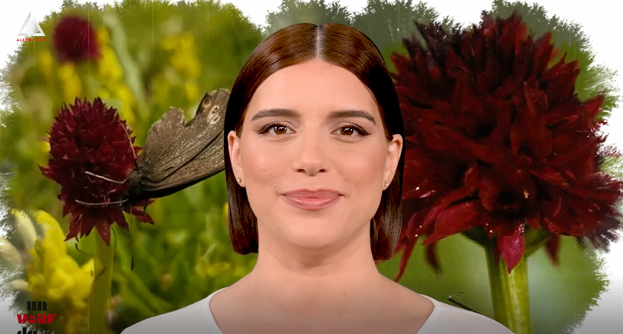 Un vârf de…Sângele Voinicului