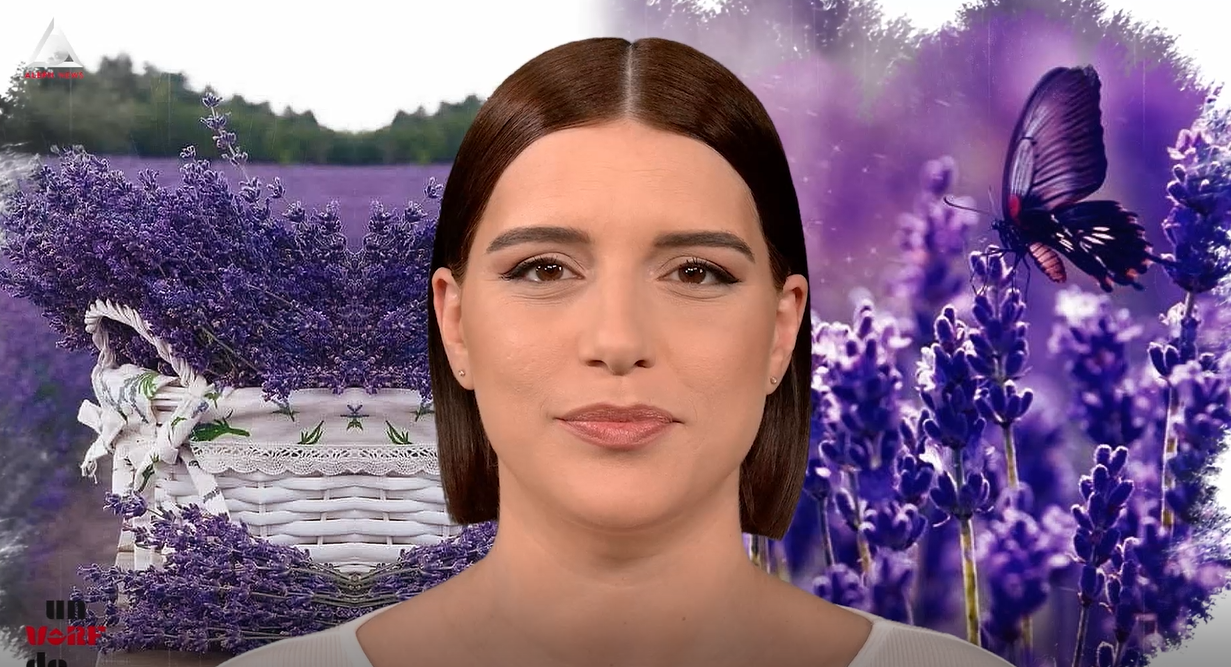 Un vârf de…Lavandă