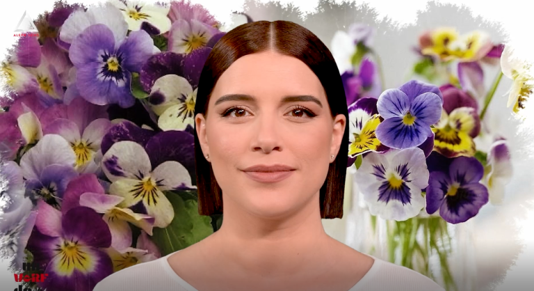 Un vârf de…Panseluță