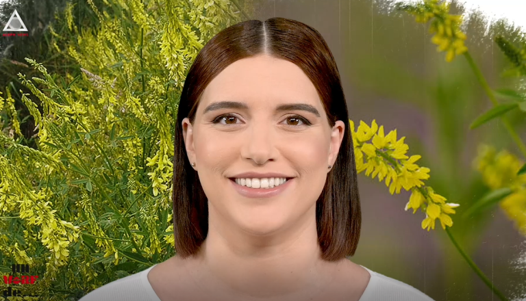 Un vârf de…Sulfină