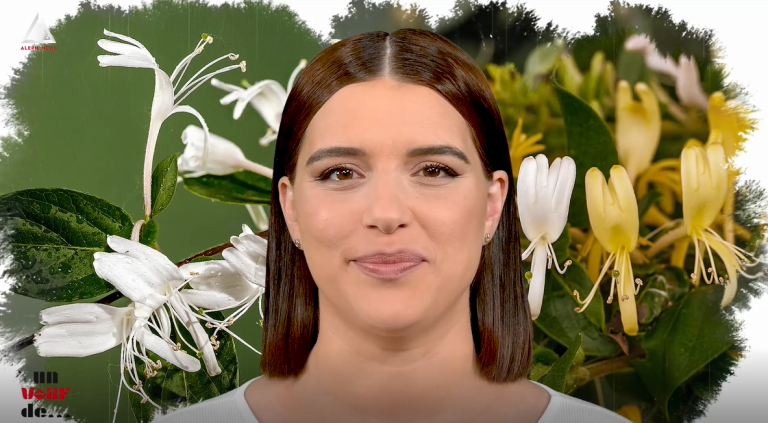 Un vârf de…Caprifoi
