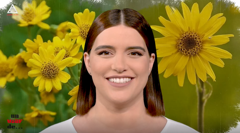 Un vârf de…Arnica