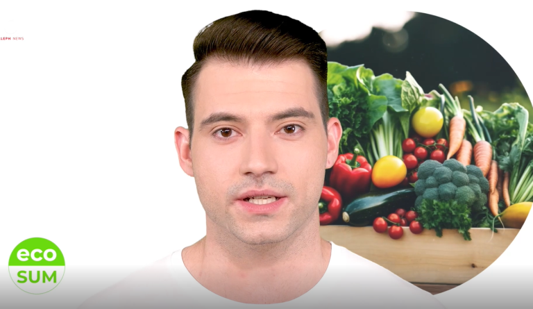 EcoSum. Fast Food vs Slow Food