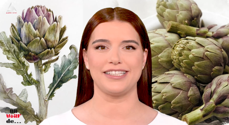 Un vârf de…Anghinare
