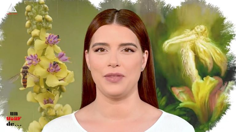 Un vârf de… Lumânărică