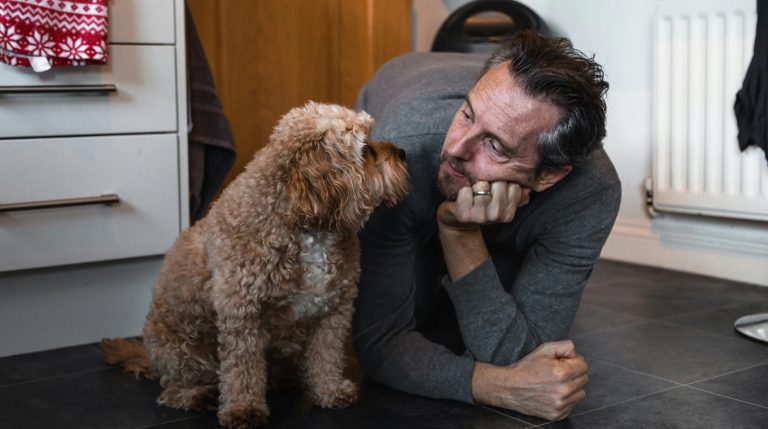 Ce citești câinelui tău stresat de cum muncești?