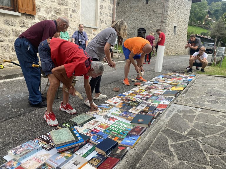 Satul mărunt care a făcut o mare campanie de carte