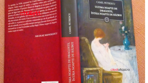 Un prozator recitește sistemul de învățământ românesc